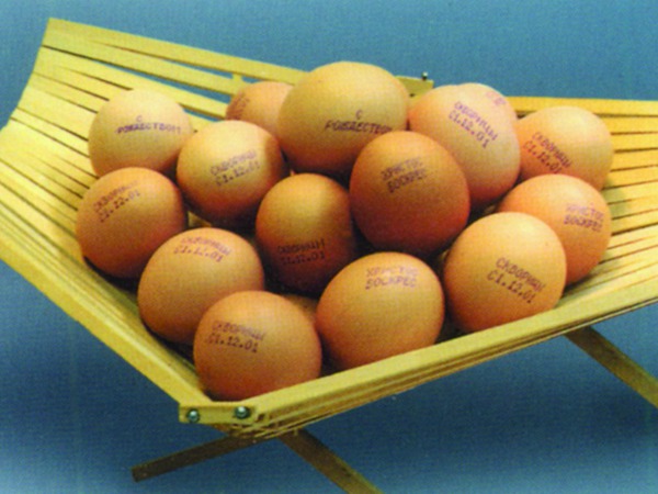 食品行業(yè)