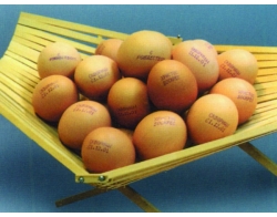 食品行業(yè)