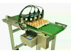 雞蛋噴碼機(jī)